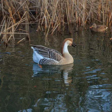 Casa Di Endine بيت للعطل *